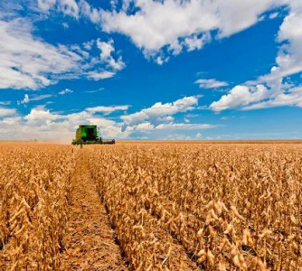 Divulgação - Embrapa