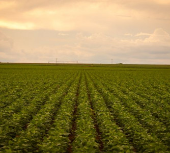 Wenderson Araújo - CNA