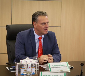 Beatriz Batalha - Mapa