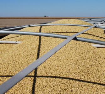 Divulgação - United Soybean Board