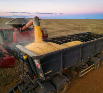 Wenderson Araújo - CNA