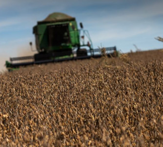 Wenderson Araújo - Sistema CNA/Senar