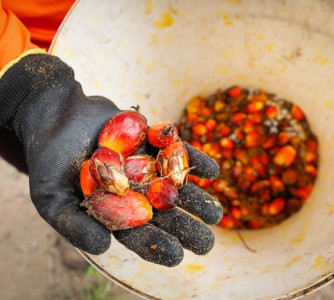 Wenderson Araújo - Sistema CNA/Senar