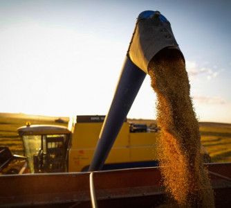 Wenderson Araújo - Sistema CNA/Senar