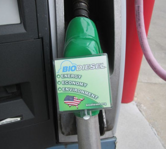 Divulgação - United Soybean Board