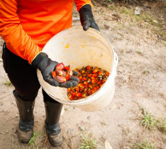 Wenderson Araújo - Sistema CNA/Senar
