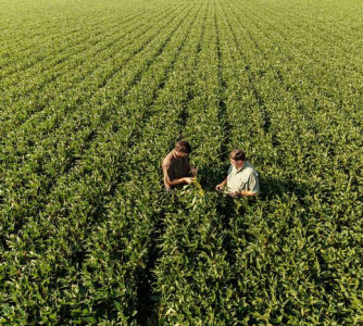 Divulgação - United Soybean Board