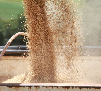 Tony Oliveira - Sistema CNA/Senar