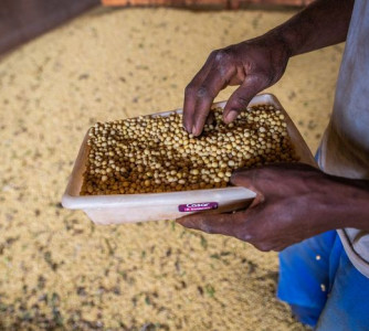 Wenderson Araújo - Sistema CNA/Senar