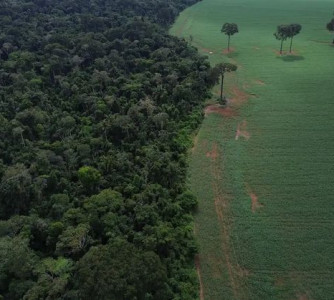 Fernando Frazão - Agência Brasil