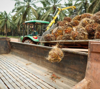 Wenderson Araújo - Sistema CNA/Senar