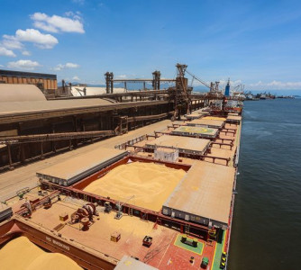 Rodrigo Felix Leal - Seil