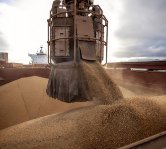 Claudio Neves - Portos do Paraná