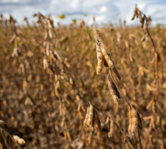 Wenderson Araújo - Sistema CNA/Senar