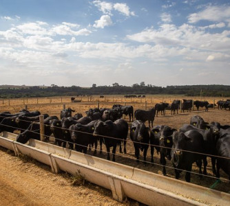 Wenderson Araújo - Sistema CNA/Senar
