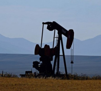 Brigitter Werner - Pixabay