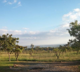 Lucienete de Sousa Lima - Embrapa Agroenergia