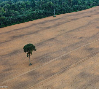 Daniel Beltrá - Greenpeace