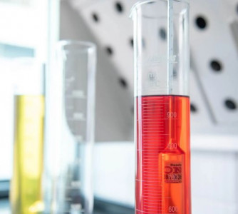 Reprodução - Disbra