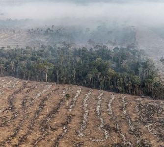 Marizilda Cruppe - Greenpeace