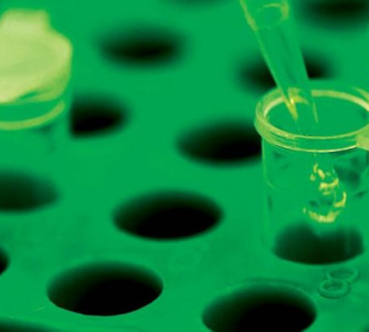 César Romagna - Pesquisa Fapesp