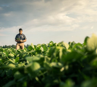 Divulgação - United Soybean Board