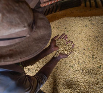 Divulgação - Sistema CNA/Senar