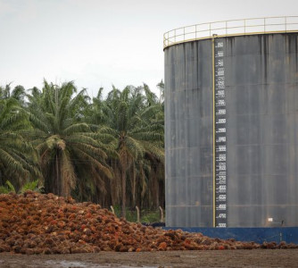 Wenderson Araújo - Sistema CNA/Senar