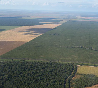 Wenderson Araújo - Sistema CNA/Senar