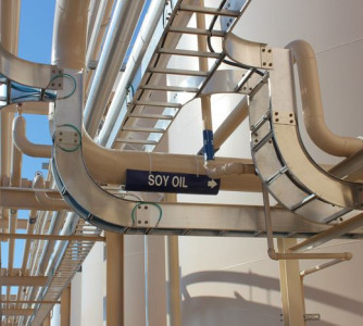 Divulgação - United Soybean Board