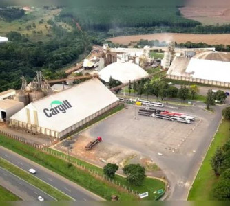 Divulgação - Cargill