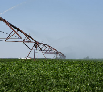 United Soybean Board