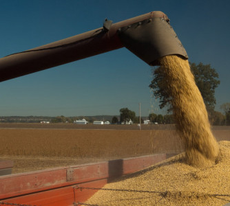Divulgação - United Soybean Board