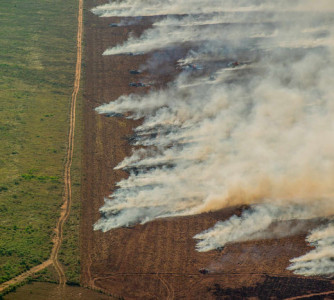 Christian Braga - Greenpeace