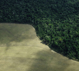 Christian Braga - Greenpeace