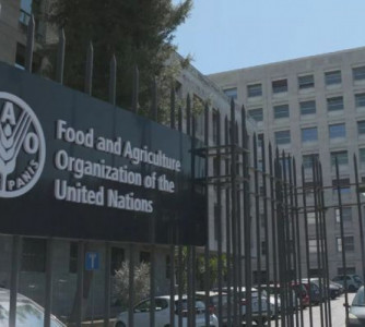 Reprodução - Euronews