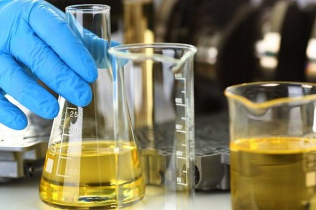 Divulgação - Presidência da República