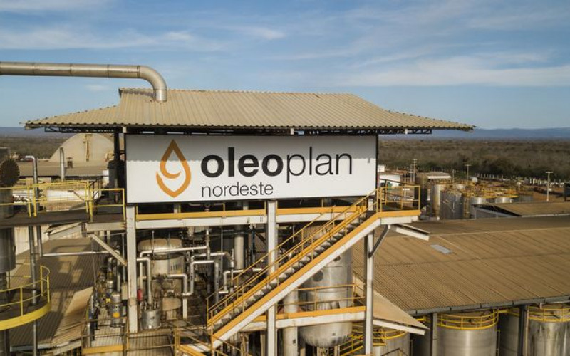 Divulgação - Oleoplan