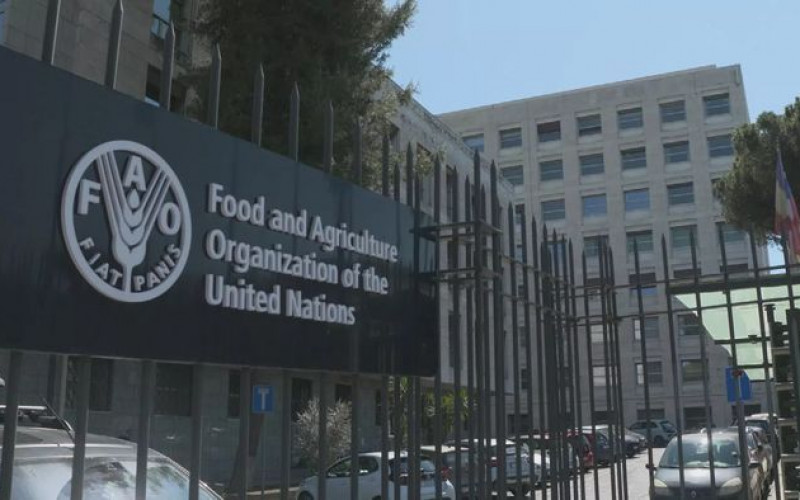 Reprodução - Euronews