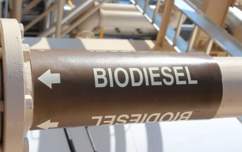 Divulgação - United Soybean Union