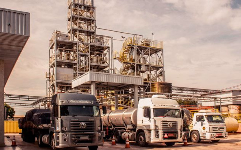 Reprodução - Buckminster