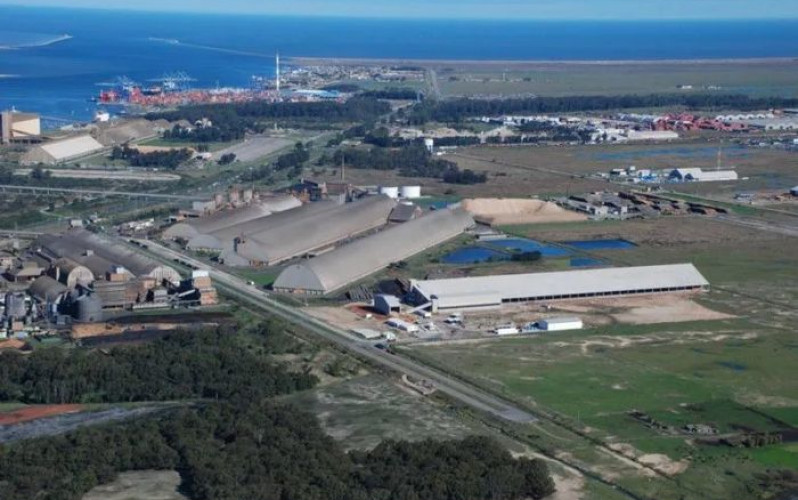 Reprodução - Bianchini 