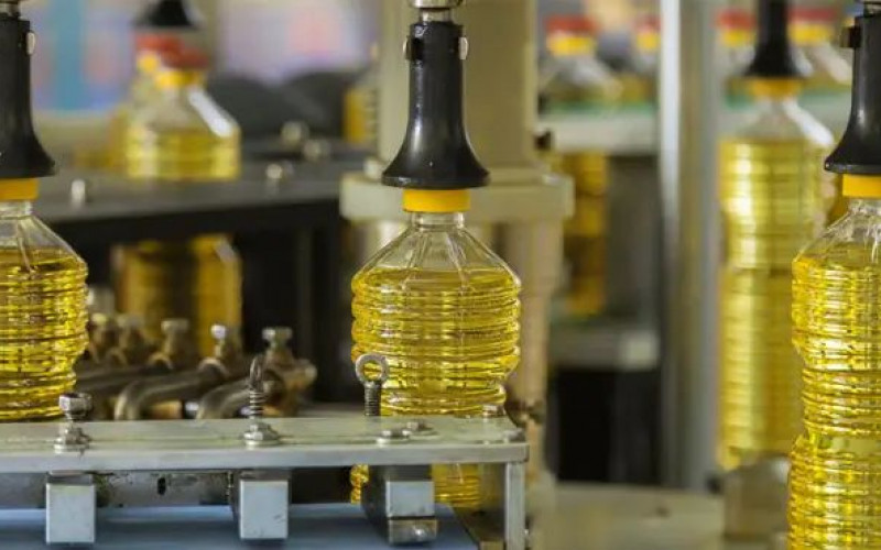 Reprodução - Trans-Oil