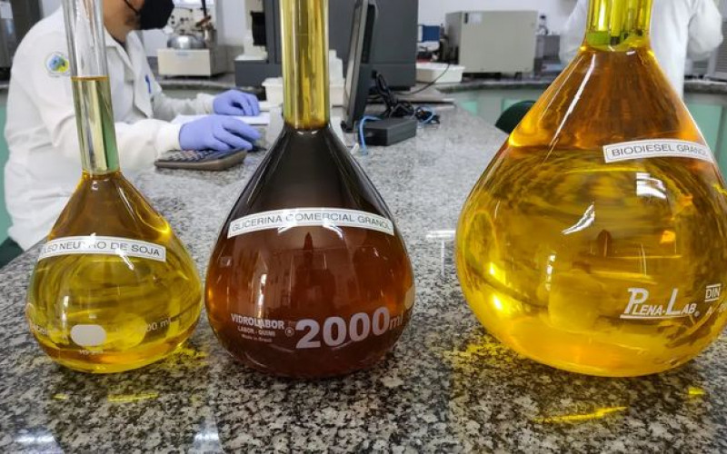 Divulgação - FPBio