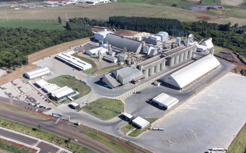 Divulgação - Cooperalfa