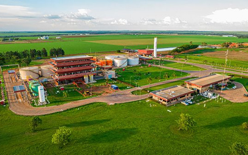 Reprodução - Green Ventures