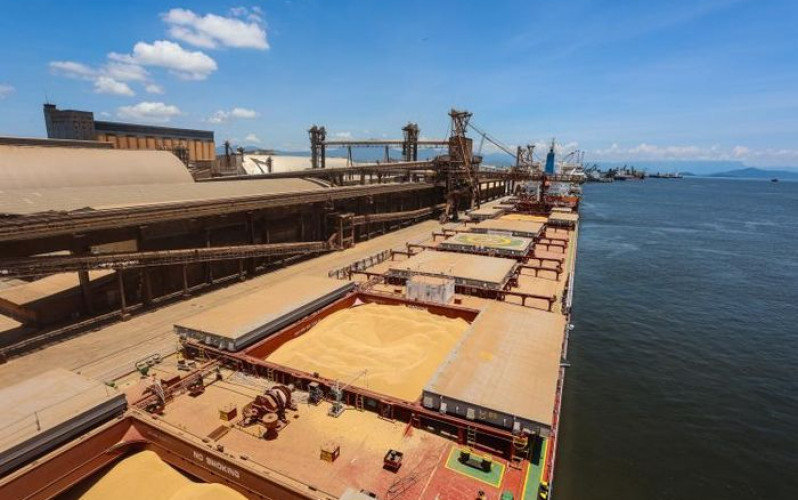 Rodrigo Felix Leal - Seil