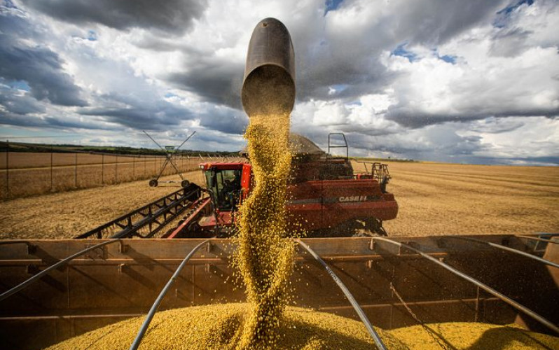 Wenderson Araújo - CNA