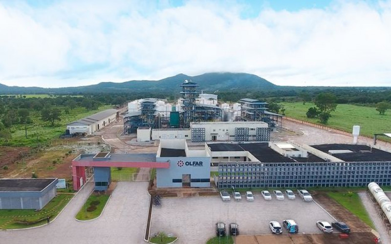 Divulgação - Olfar