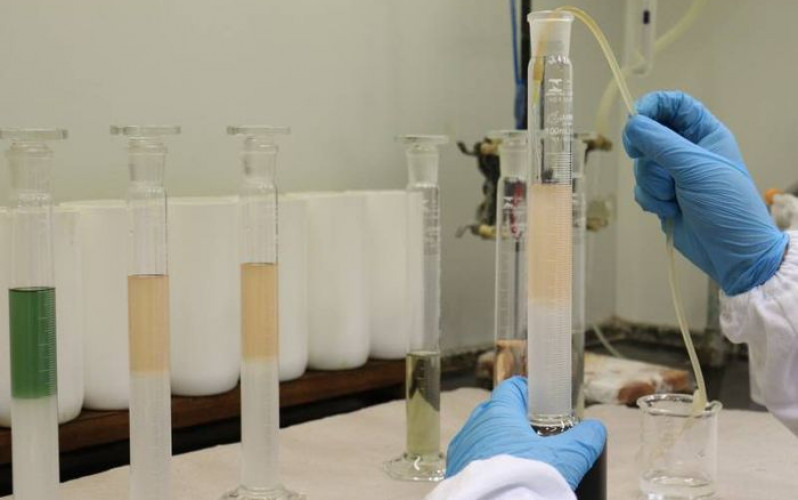 Reprodução - Unesp